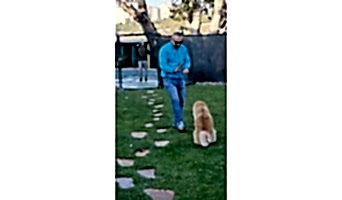 Bahçeşehir Köpek Oteli, Beylikdüzü Köpek Oteli,Pet Otel,Köpek Eğitim Merkezi,Bahçeşehir köpek oteli,istanbul köpek oteli