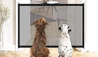 Köpek Otelinde Güvenlik Önlemleri Nasıl Alınır?, Köpek Otelinde Güvenlik Önlemleri Nasıl Alınır?